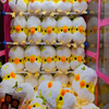 Eggshell Chicken Plush Delight 8 Inch Claw Machine Plush Toys Wholesale