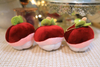 Juicy Little Veggie Culture And Creative Plush Toy Suppliers Wholesale 2