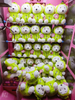 Watermelon Bear 8 Inch Claw Machine Plush Toys Wholesale