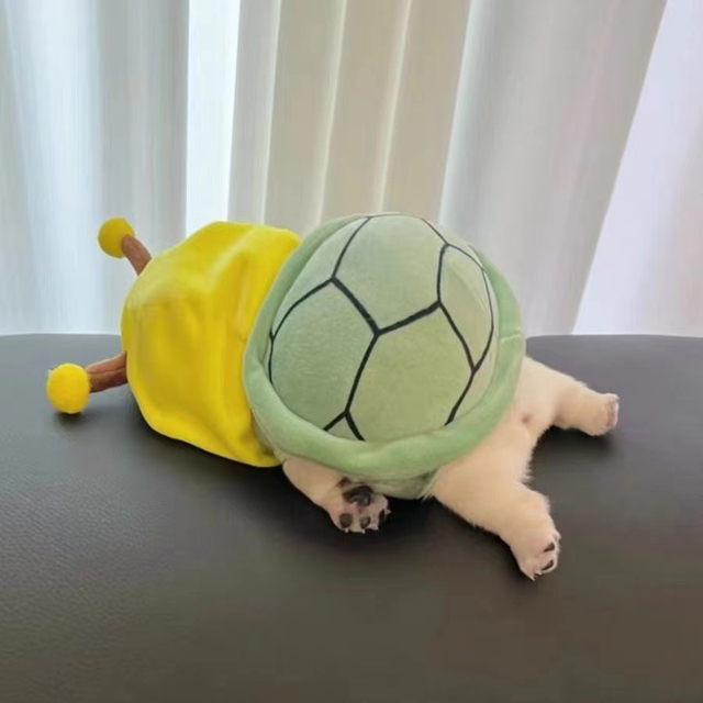 Turtle Clothes Pet Decoration Suppliers Wholesale