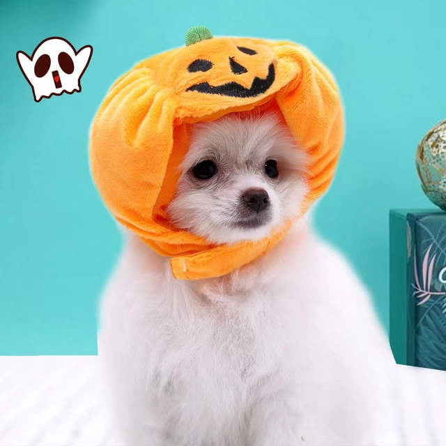 Pumpkin Hat Pet Decoration Suppliers Wholesale